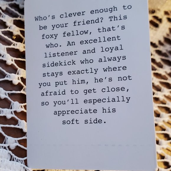 Pier 1 Sitting Animal Bently The Raccoon Pillow Door Stop - Picture 10 of 11